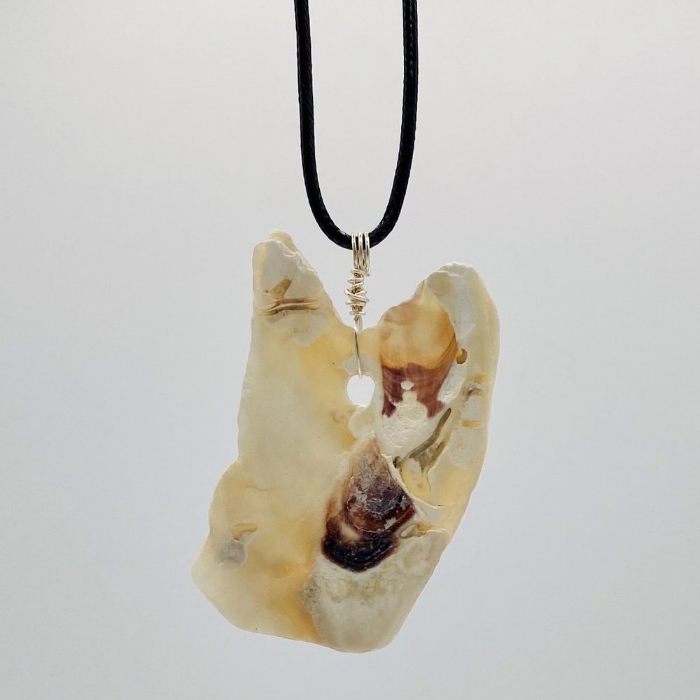 Shell Pendant on 24" Black Cord Necklace; B24-04